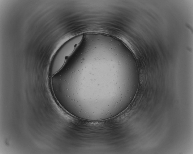 X0000090961139200708301157