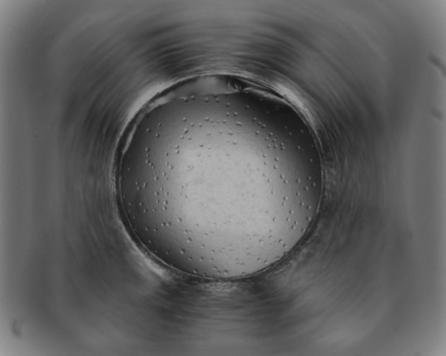 X0000090961141200708301157