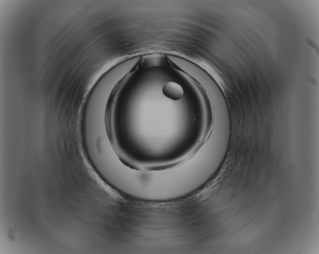 X0000090961142200708301157