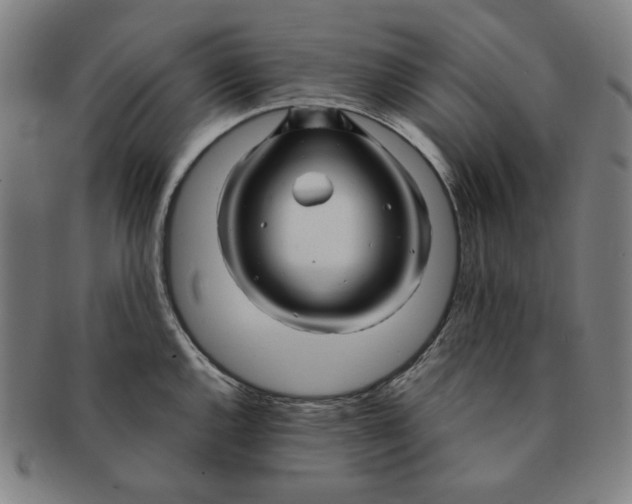 X0000090961144200708301157