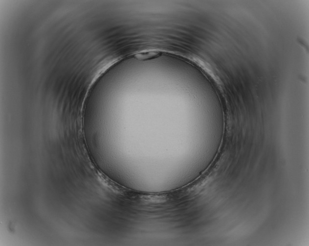 X0000090961145200708301157