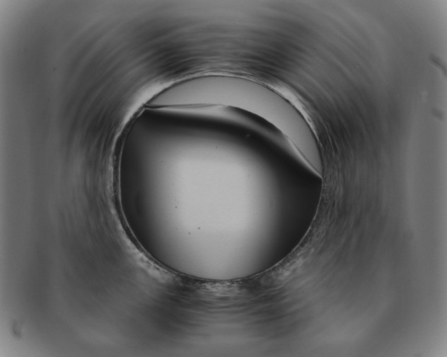 X0000090961147200708301157