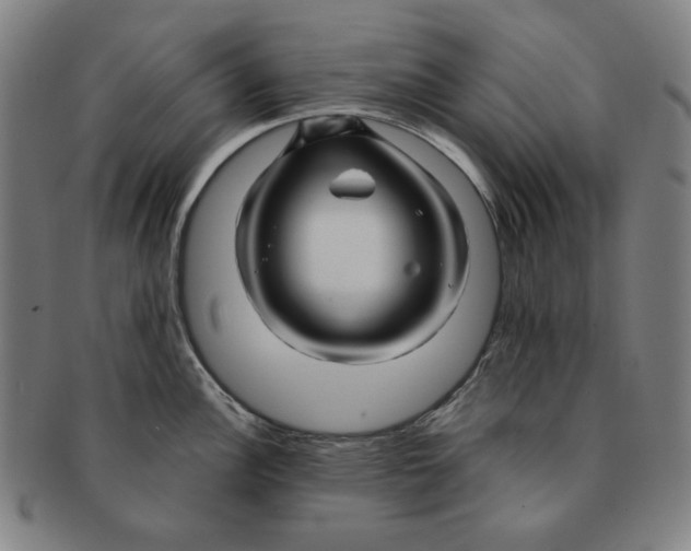 X0000090961148200708301157