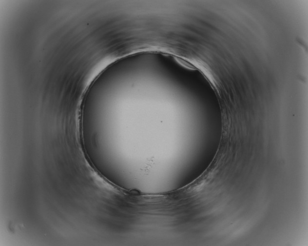 X0000090961151200708301157