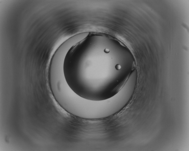 X0000090961152200708301157