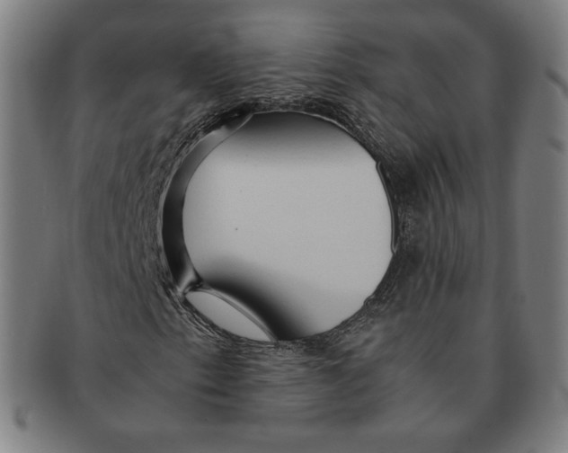 X0000090961153200708301156