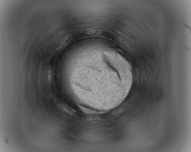 X0000090961154200708301156