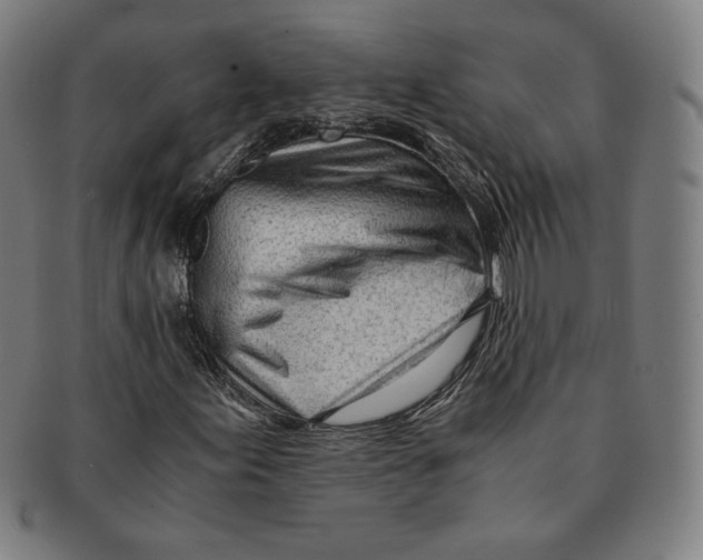 X0000090961155200708301156