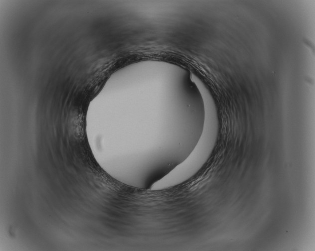 X0000090961156200708301156