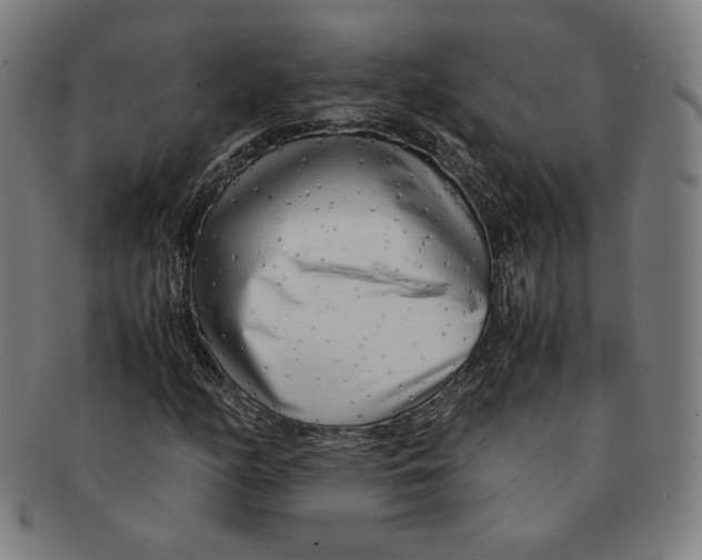 X0000090961158200708301156