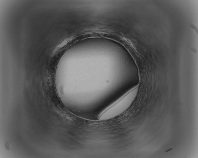 X0000090961159200708301156