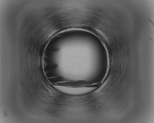 X0000090961161200708301156