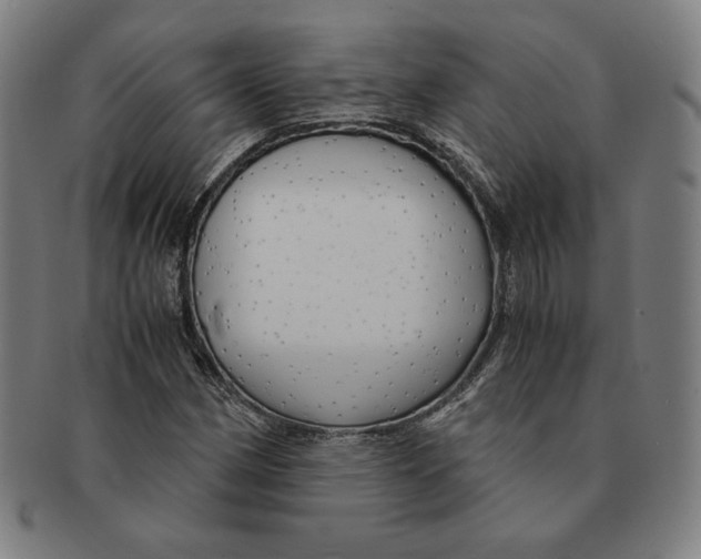 X0000090961162200708301156