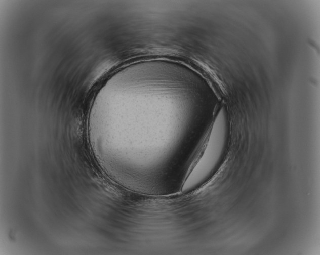 X0000090961163200708301156