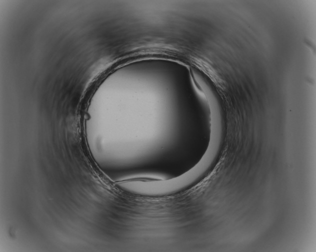 X0000090961164200708301156