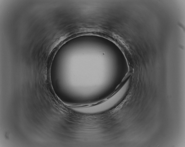 X0000090961165200708301156