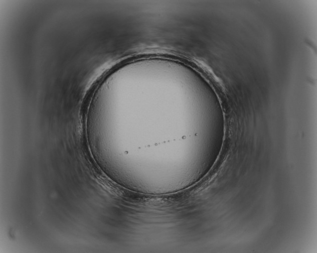 X0000090961167200708301156