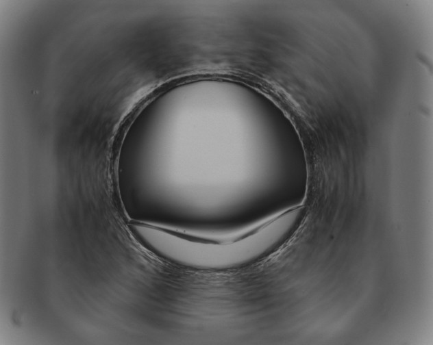 X0000090961168200708301156