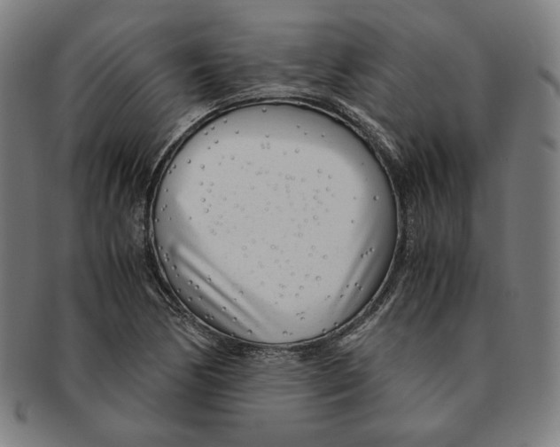 X0000090961170200708301156