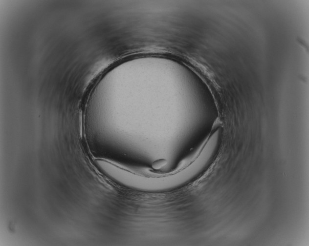 X0000090961171200708301156