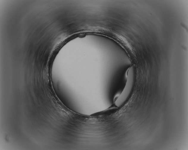 X0000090961172200708301156