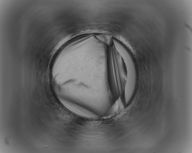 X0000090961173200708301156