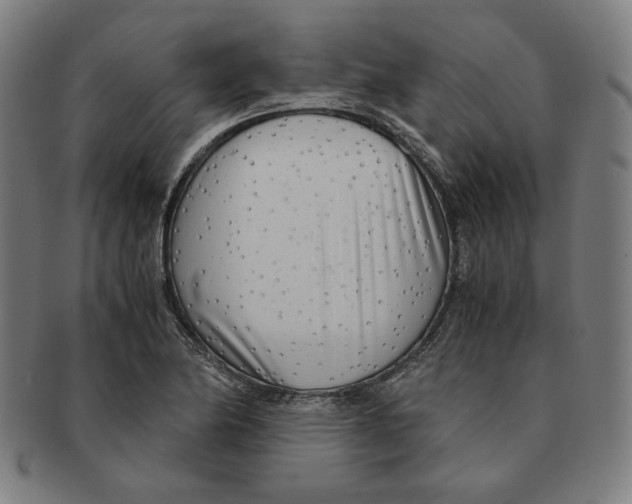 X0000090961174200708301156