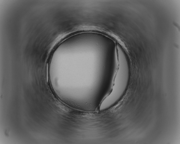 X0000090961175200708301156