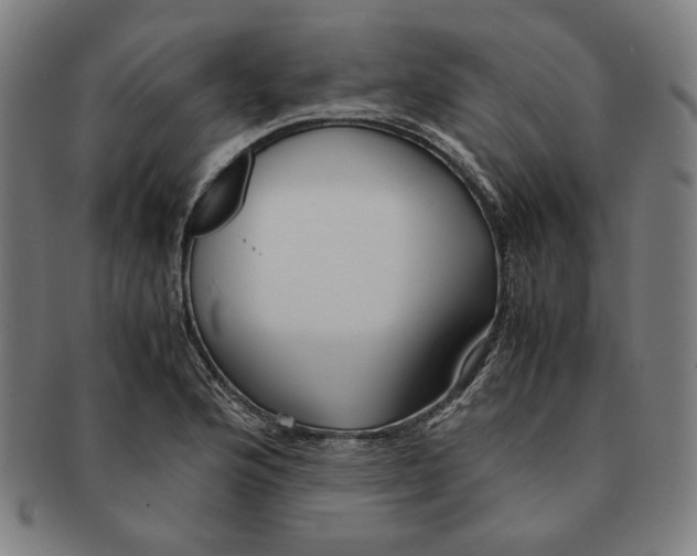 X0000090961176200708301156