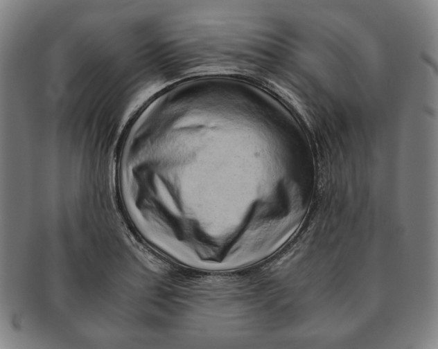 X0000090961179200708301156