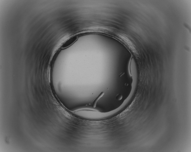 X0000090961180200708301156