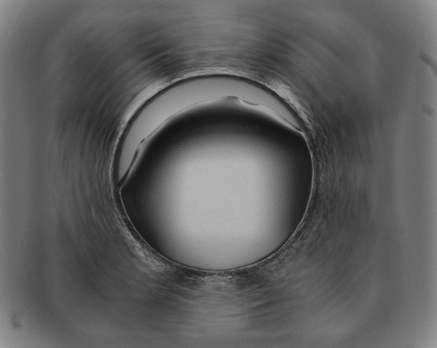 X0000090961181200708301156