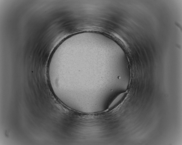 X0000090961182200708301156