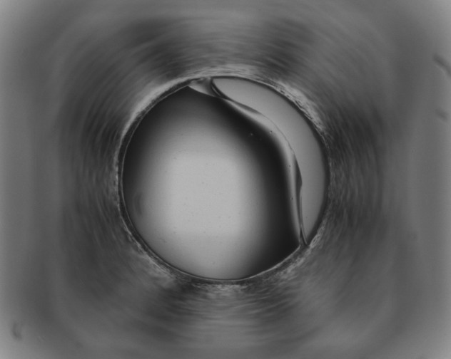 X0000090961184200708301156