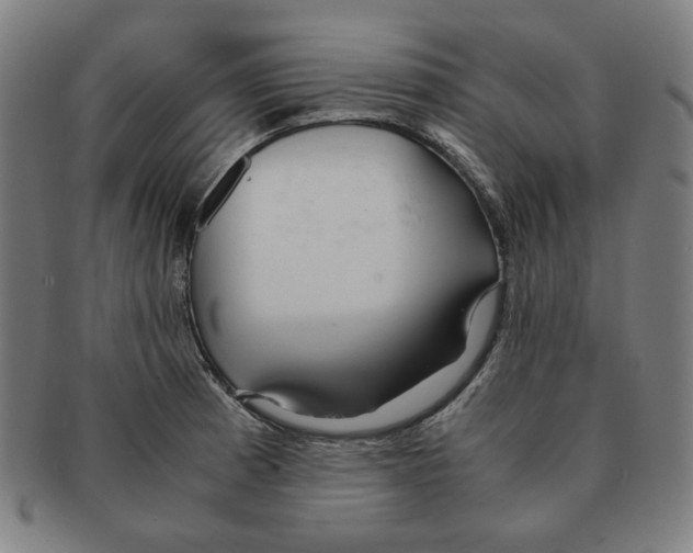 X0000090961185200708301156