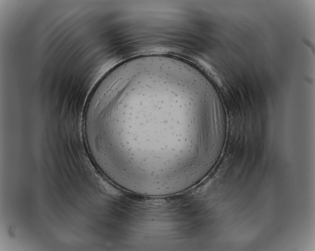 X0000090961186200708301156