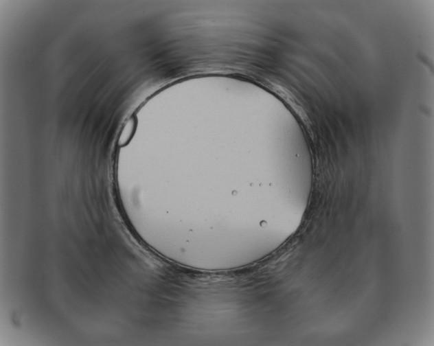 X0000090961187200708301156