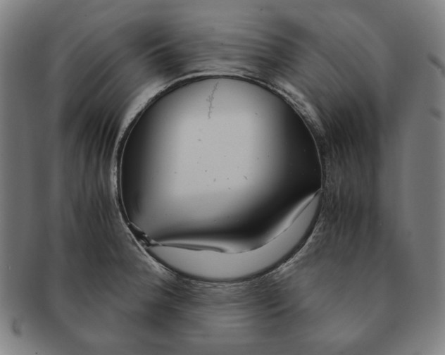 X0000090961188200708301156