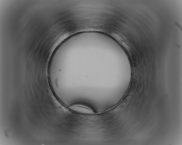 X0000090961189200708301156