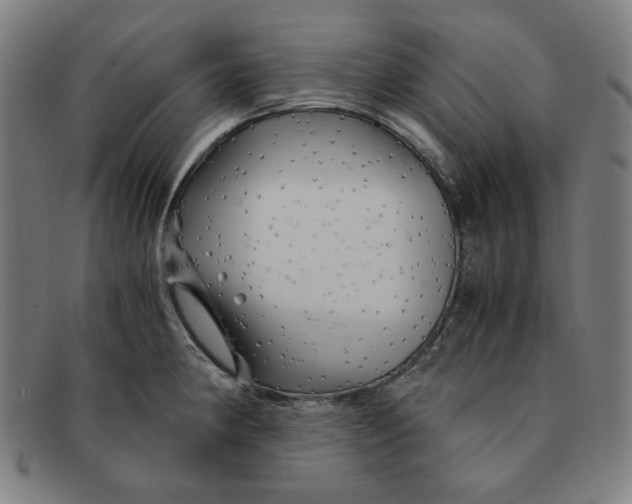 X0000090961190200708301155