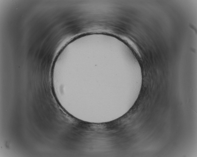 X0000090961191200708301155