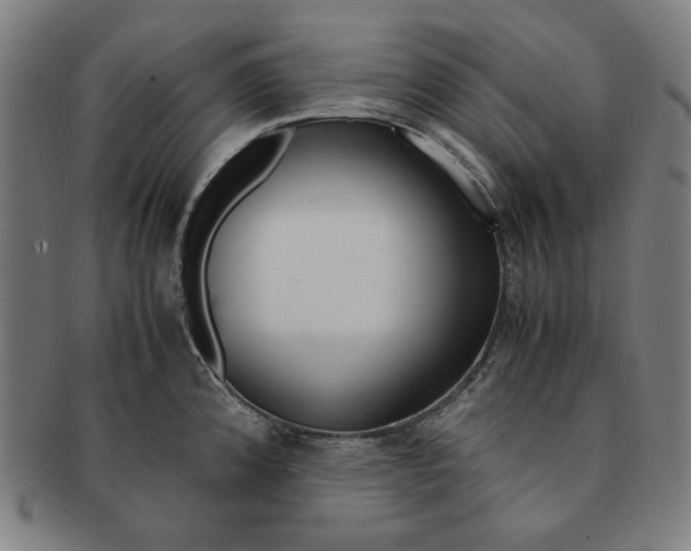 X0000090961192200708301155