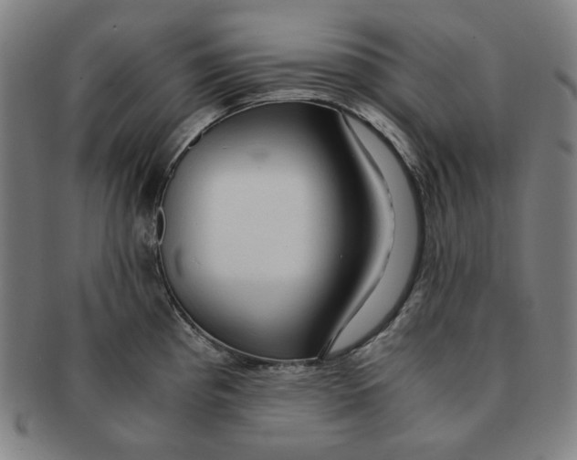 X0000090961193200708301155