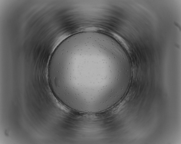 X0000090961194200708301155