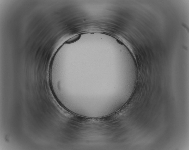 X0000090961195200708301155