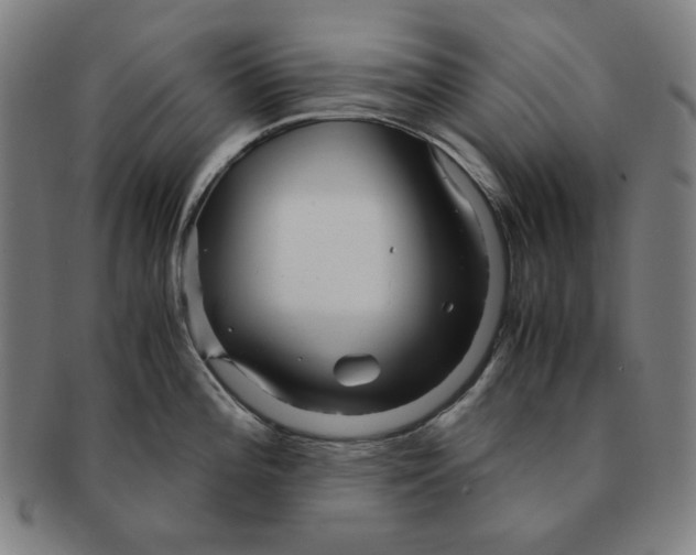 X0000090961196200708301155