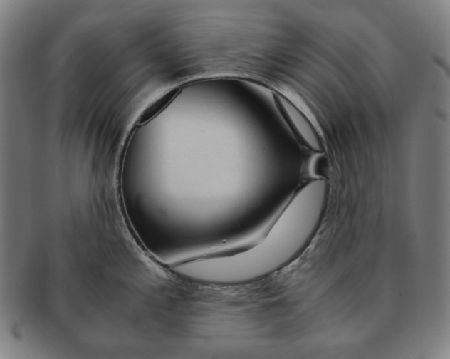 X0000090961197200708301155