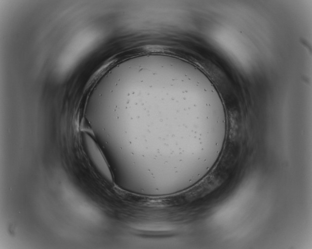 X0000090961198200708301155