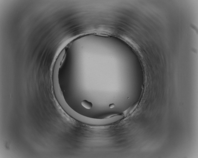 X0000090961200200708301155