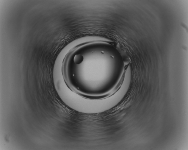 X0000090961202200708301155